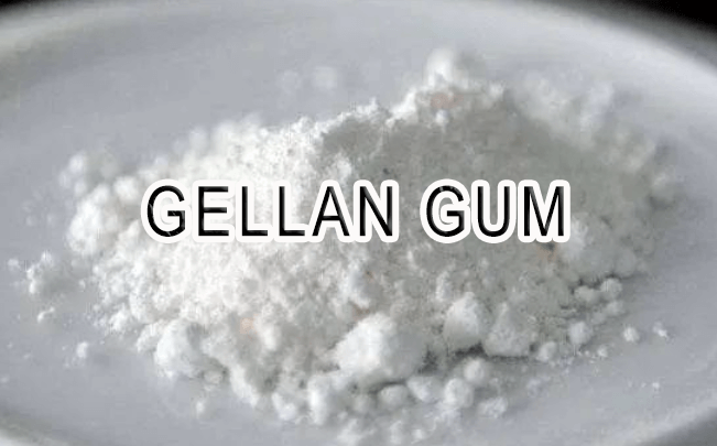 Development prospects of gellan gum